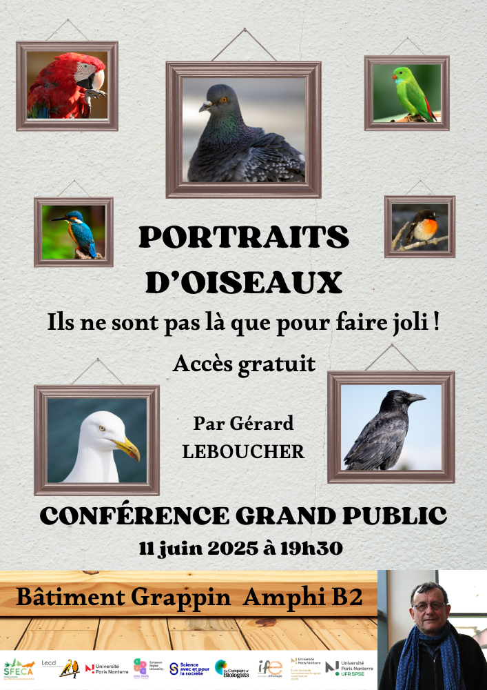 grand public finale